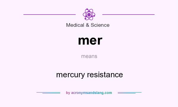 What does mer mean? It stands for mercury resistance