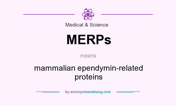 What does MERPs mean? It stands for mammalian ependymin-related proteins
