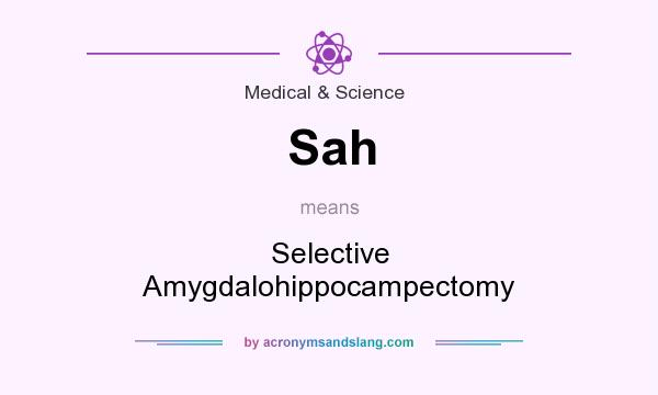 What does Sah mean? It stands for Selective Amygdalohippocampectomy
