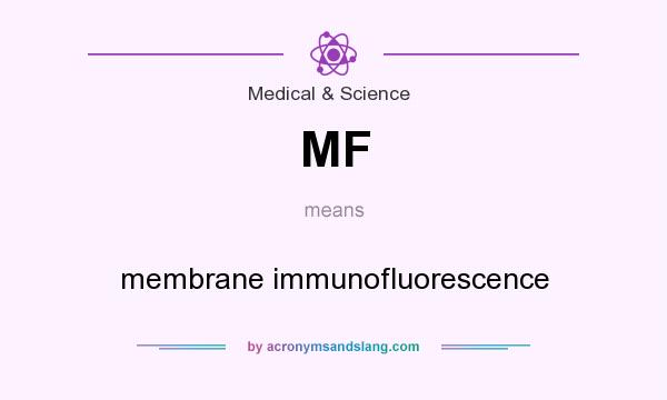 What does MF mean? It stands for membrane immunofluorescence