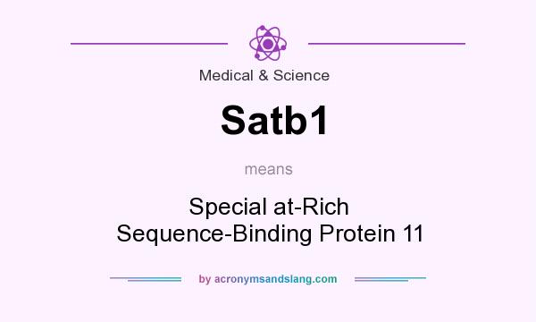 What does Satb1 mean? It stands for Special at-Rich Sequence-Binding Protein 11