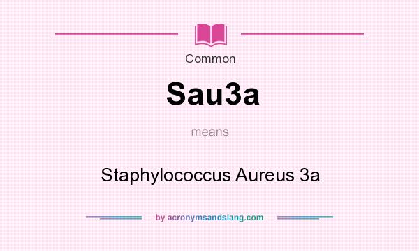 What does Sau3a mean? It stands for Staphylococcus Aureus 3a