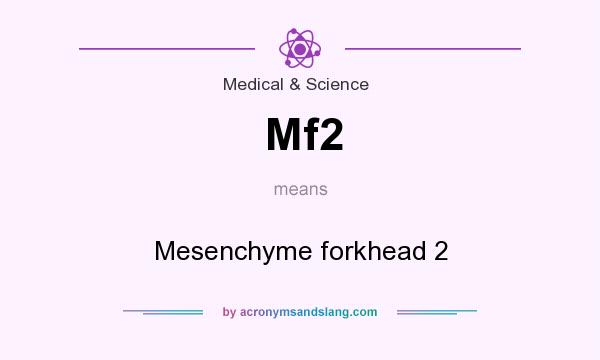 What does Mf2 mean? It stands for Mesenchyme forkhead 2