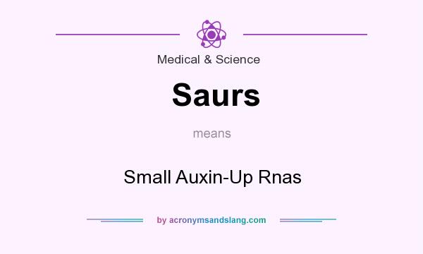 What does Saurs mean? It stands for Small Auxin-Up Rnas