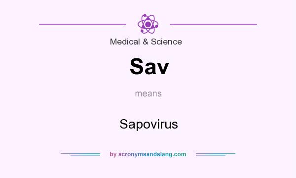 What does Sav mean? It stands for Sapovirus