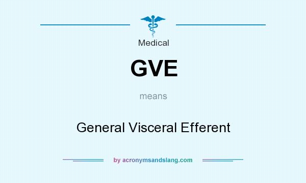 What does GVE mean? It stands for General Visceral Efferent