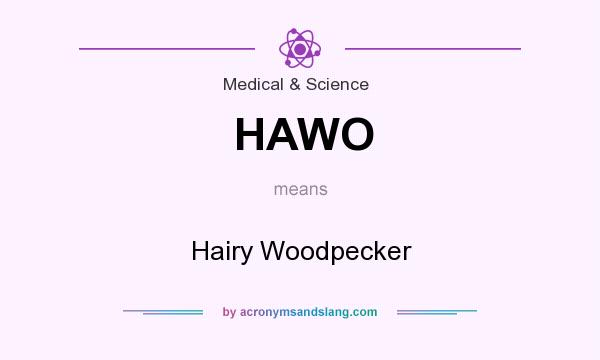 What does HAWO mean? It stands for Hairy Woodpecker