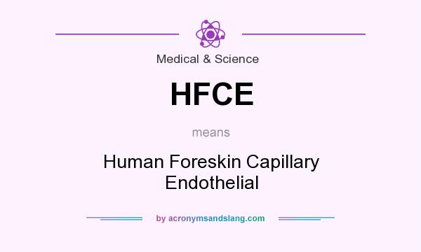 What does HFCE mean? It stands for Human Foreskin Capillary Endothelial