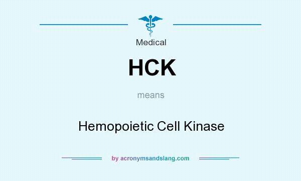 What does HCK mean? It stands for Hemopoietic Cell Kinase