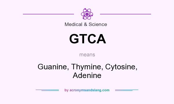 What does GTCA mean? It stands for Guanine, Thymine, Cytosine, Adenine