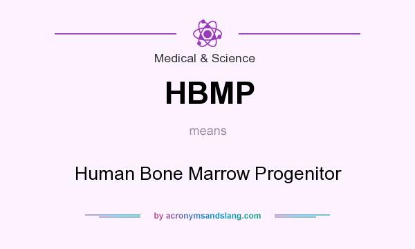 What does HBMP mean? It stands for Human Bone Marrow Progenitor