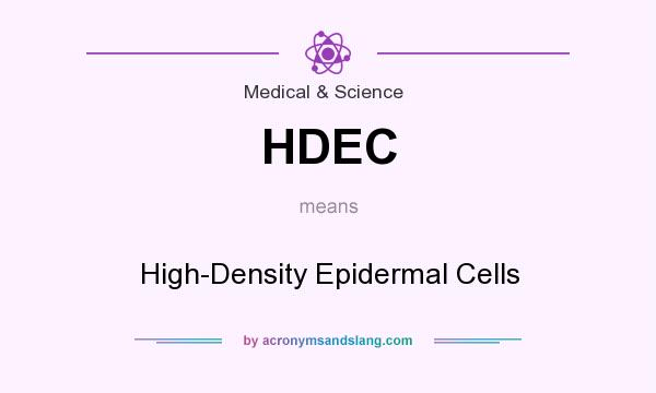 What does HDEC mean? It stands for High-Density Epidermal Cells
