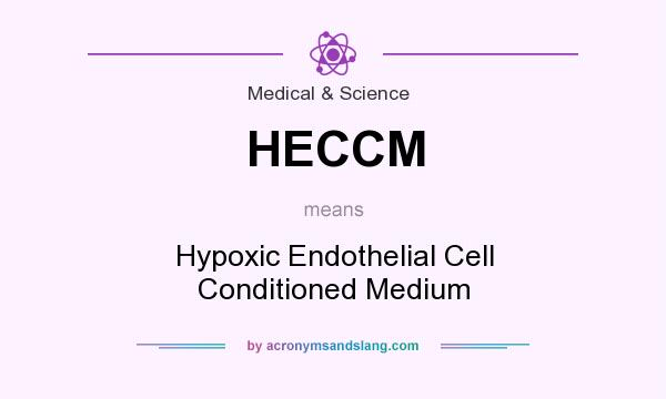 What does HECCM mean? It stands for Hypoxic Endothelial Cell Conditioned Medium