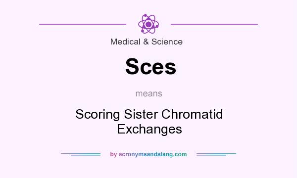 What does Sces mean? It stands for Scoring Sister Chromatid Exchanges