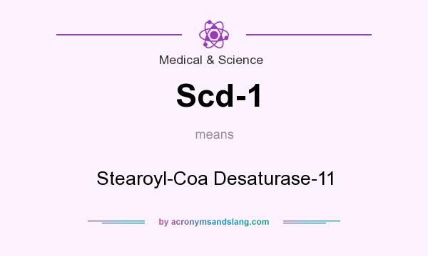 What does Scd-1 mean? It stands for Stearoyl-Coa Desaturase-11