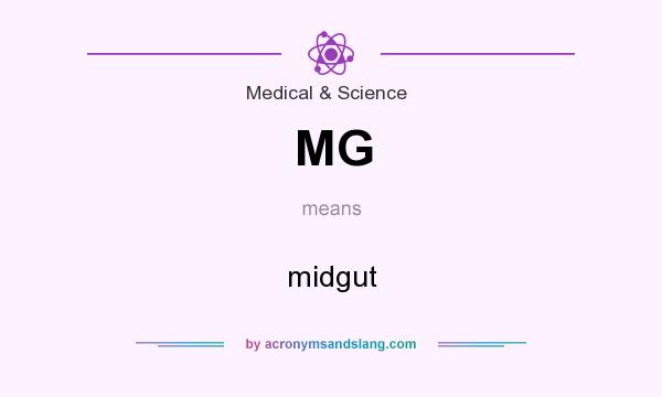 What does MG mean? It stands for midgut