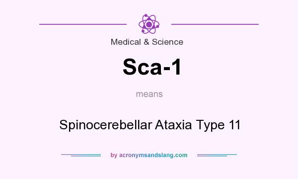 What does Sca-1 mean? It stands for Spinocerebellar Ataxia Type 11