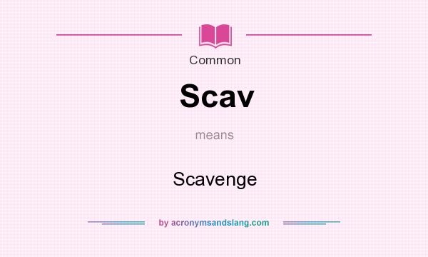 What does Scav mean? It stands for Scavenge