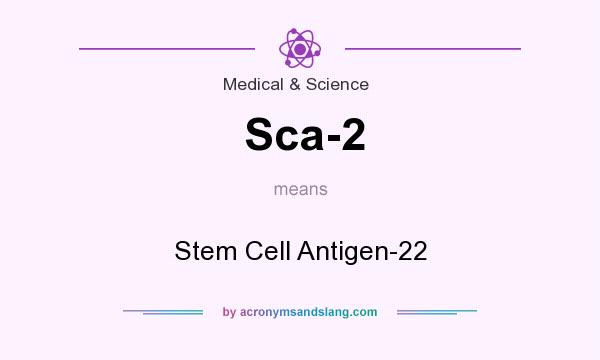 What does Sca-2 mean? It stands for Stem Cell Antigen-22