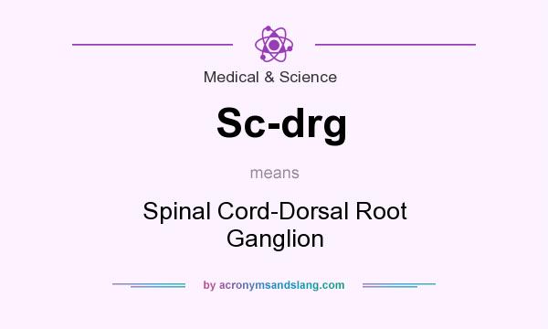 What does Sc-drg mean? It stands for Spinal Cord-Dorsal Root Ganglion