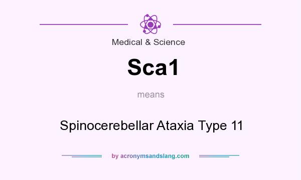 What does Sca1 mean? It stands for Spinocerebellar Ataxia Type 11