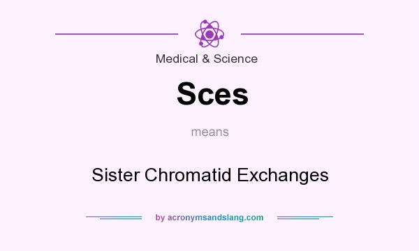 What does Sces mean? It stands for Sister Chromatid Exchanges