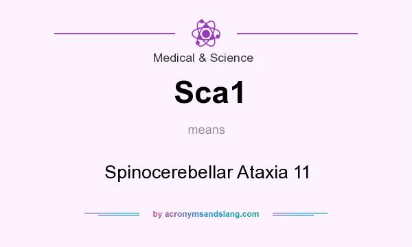 What does Sca1 mean? It stands for Spinocerebellar Ataxia 11