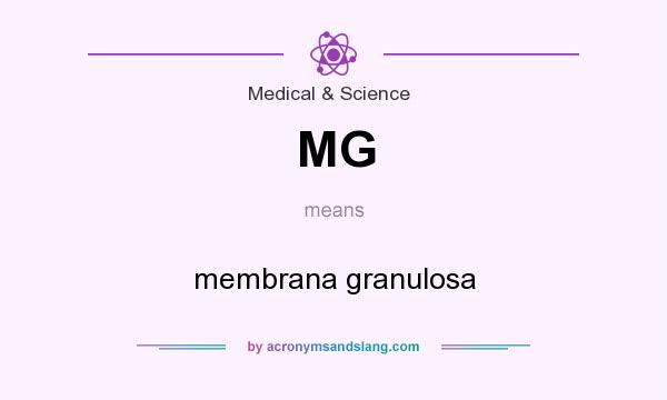 What does MG mean? It stands for membrana granulosa
