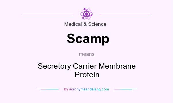 What does Scamp mean? It stands for Secretory Carrier Membrane Protein