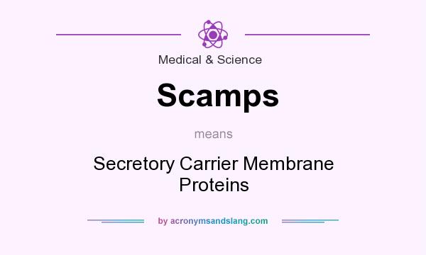 What does Scamps mean? It stands for Secretory Carrier Membrane Proteins