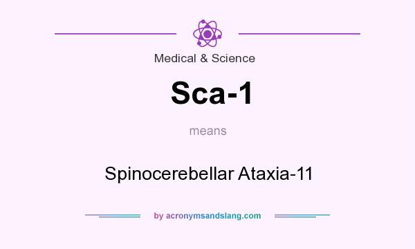 What does Sca-1 mean? It stands for Spinocerebellar Ataxia-11