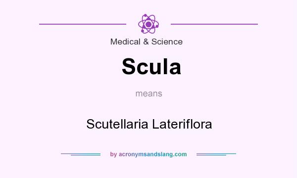 What does Scula mean? It stands for Scutellaria Lateriflora