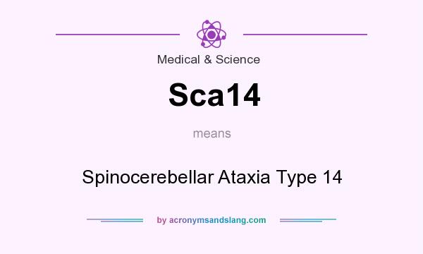 What does Sca14 mean? It stands for Spinocerebellar Ataxia Type 14