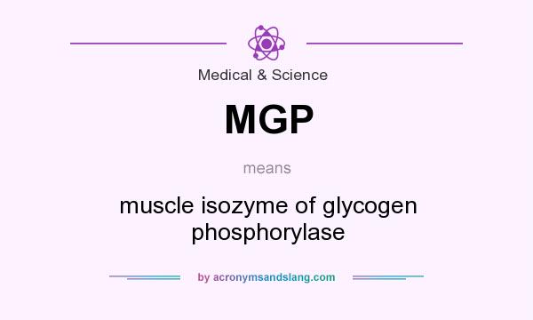 What does MGP mean? It stands for muscle isozyme of glycogen phosphorylase