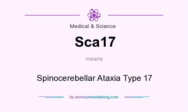 What does Sca17 mean? It stands for Spinocerebellar Ataxia Type 17