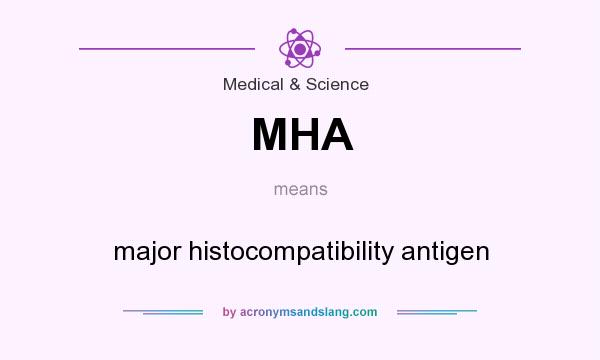 What does MHA mean? It stands for major histocompatibility antigen