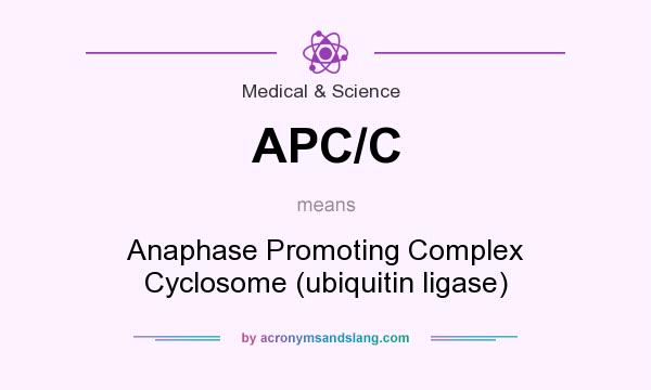 What does APC/C mean? It stands for Anaphase Promoting Complex Cyclosome (ubiquitin ligase)