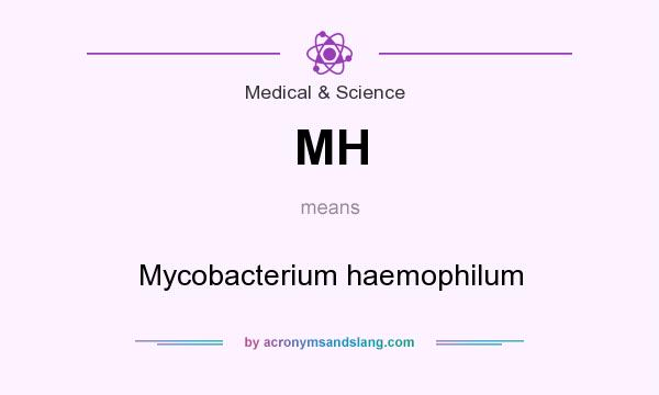 What does MH mean? It stands for Mycobacterium haemophilum