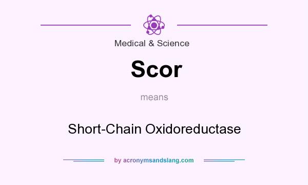 What does Scor mean? It stands for Short-Chain Oxidoreductase