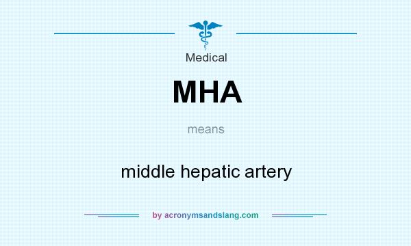 What does MHA mean? It stands for middle hepatic artery