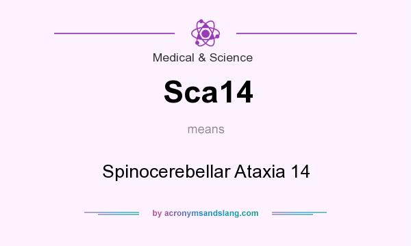 What does Sca14 mean? It stands for Spinocerebellar Ataxia 14