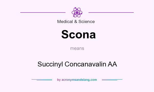 What does Scona mean? It stands for Succinyl Concanavalin AA