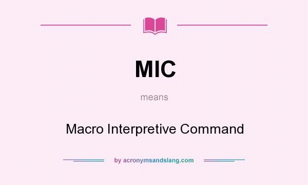 What does MIC mean? It stands for Macro Interpretive Command
