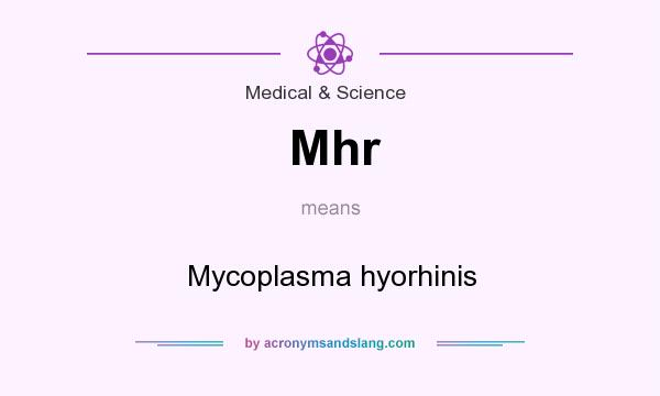 What does Mhr mean? It stands for Mycoplasma hyorhinis