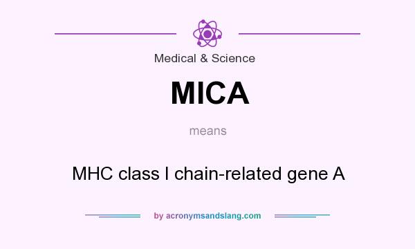 What does MICA mean? It stands for MHC class I chain-related gene A