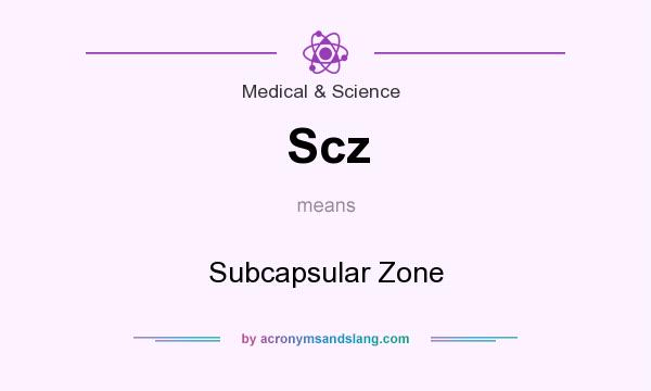 What does Scz mean? It stands for Subcapsular Zone