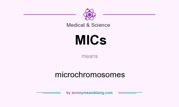 What does MICs mean? It stands for microchromosomes