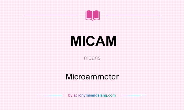 What does MICAM mean? It stands for Microammeter