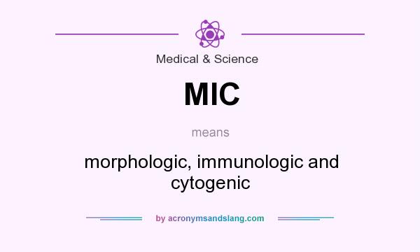 What does MIC mean? It stands for morphologic, immunologic and cytogenic