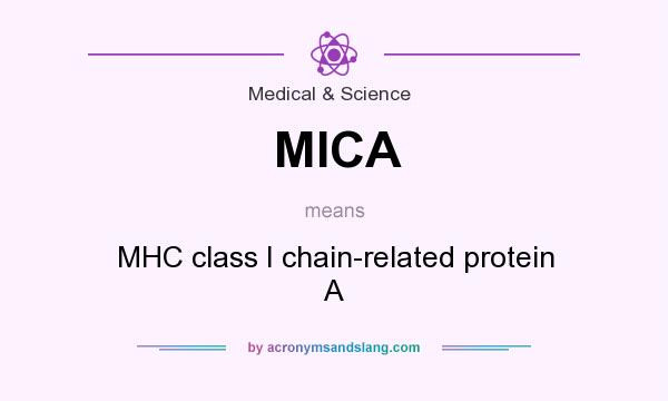 What does MICA mean? It stands for MHC class I chain-related protein A